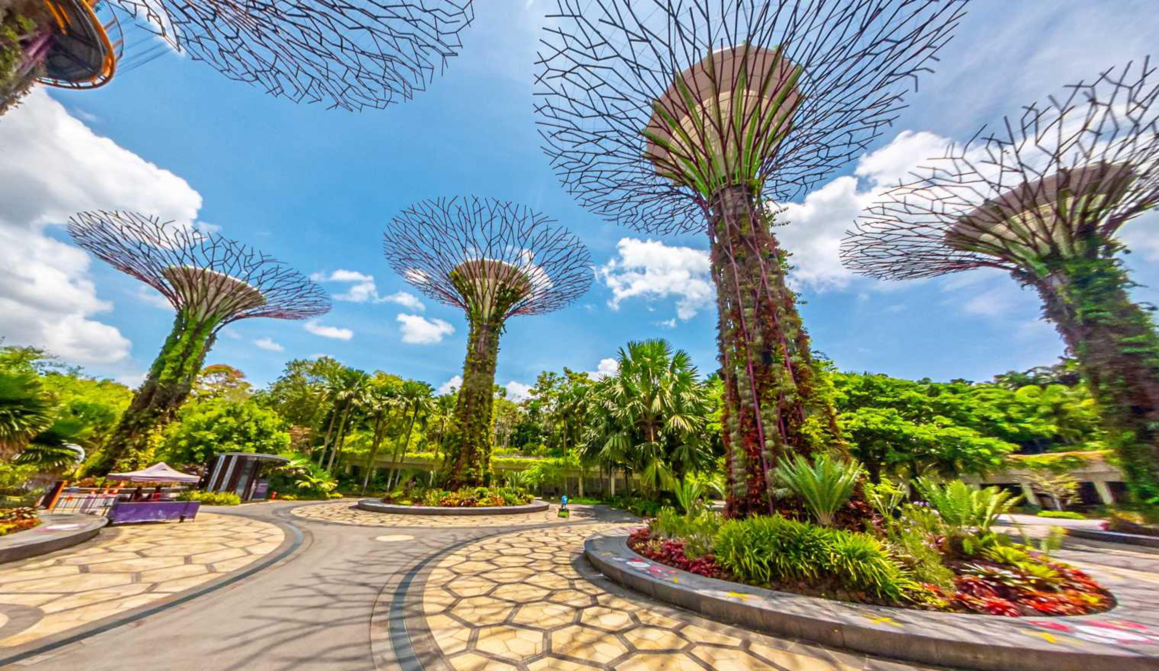 Supertree Grove, Gardens by the Bay, Singapore virtual tour preview