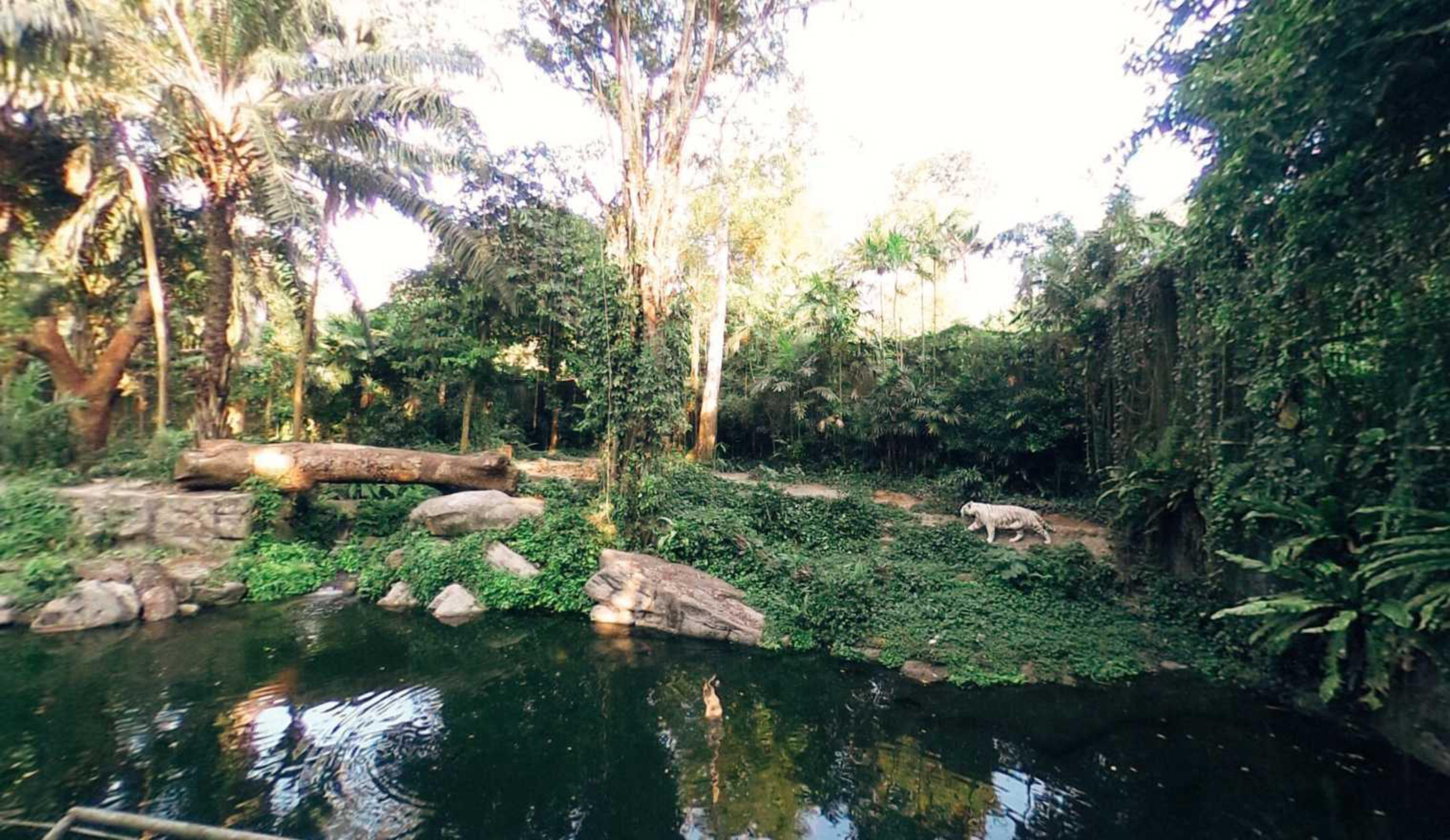 Singapore Zoo, Singapore virtual tour preview