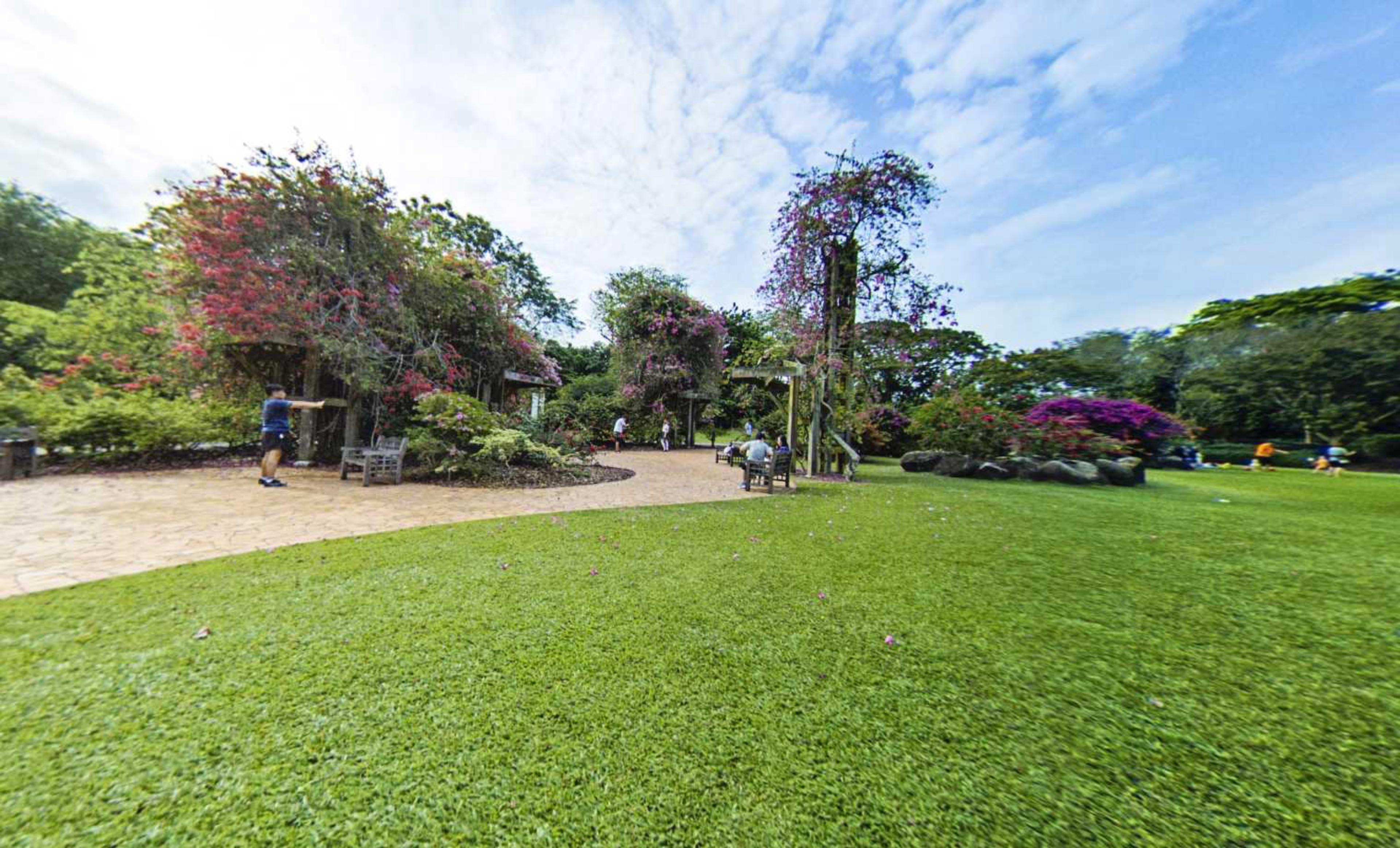 Singapore Botanic Gardens, Singapore virtual tour preview