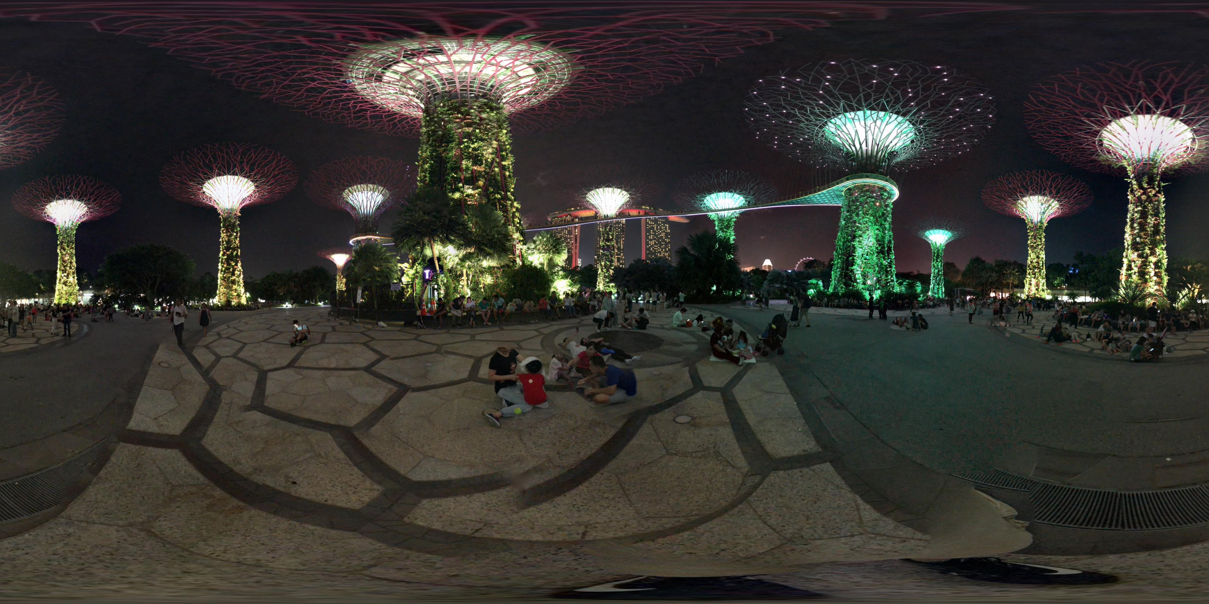 Supertree Grove virtual tour preview