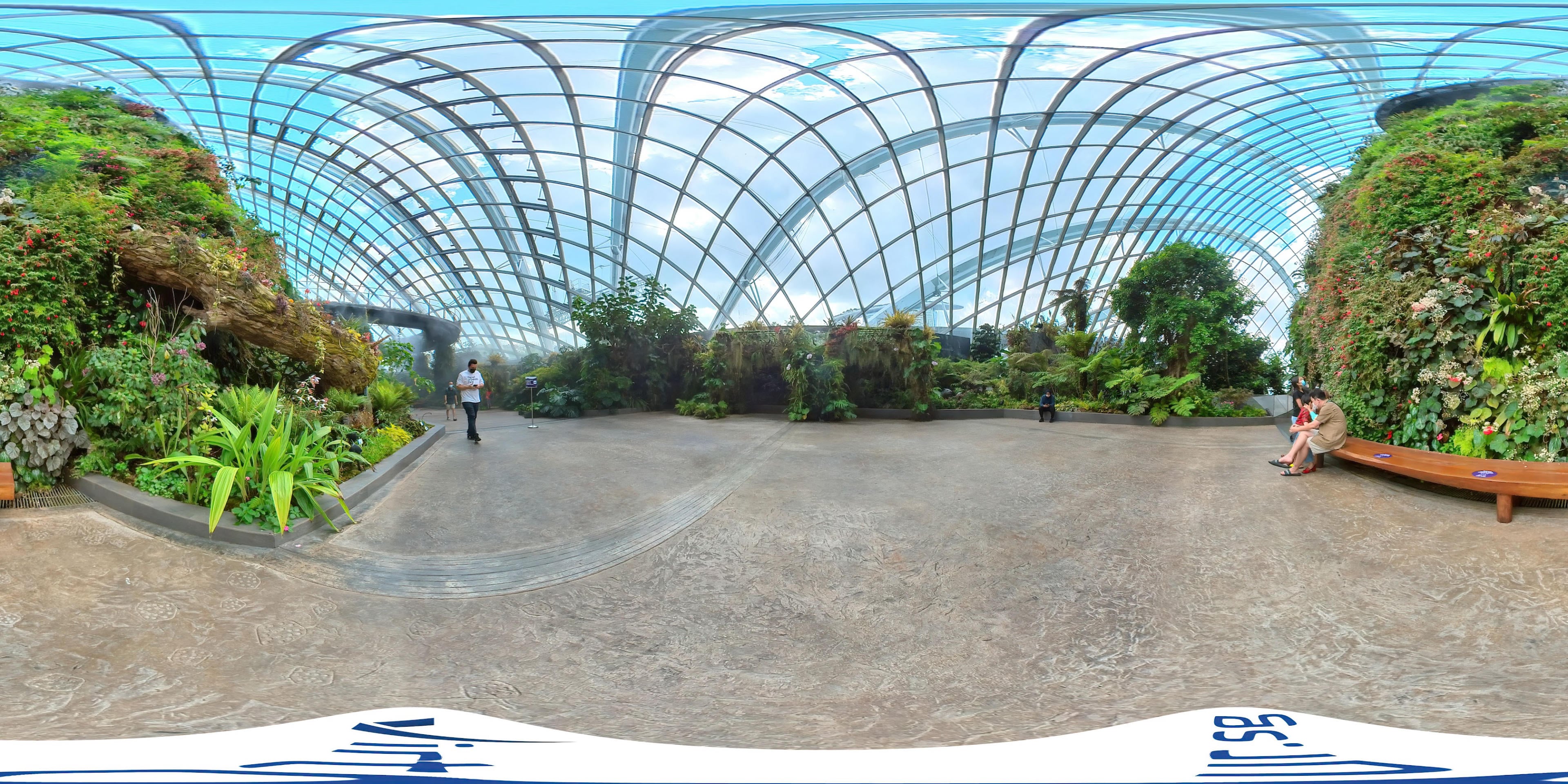 Cloud Forest virtual tour preview
