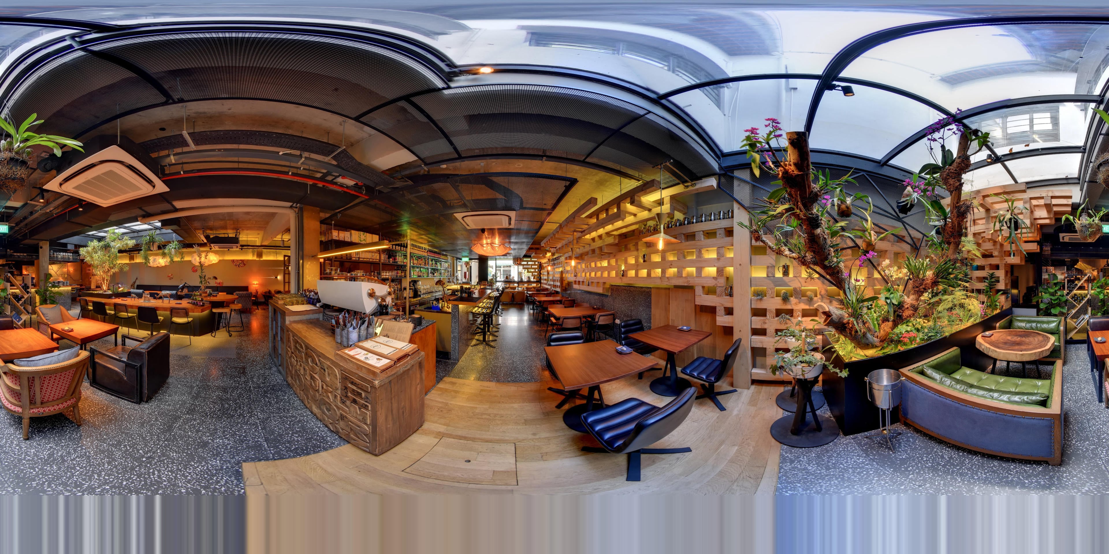 Birds of a Feather virtual tour preview