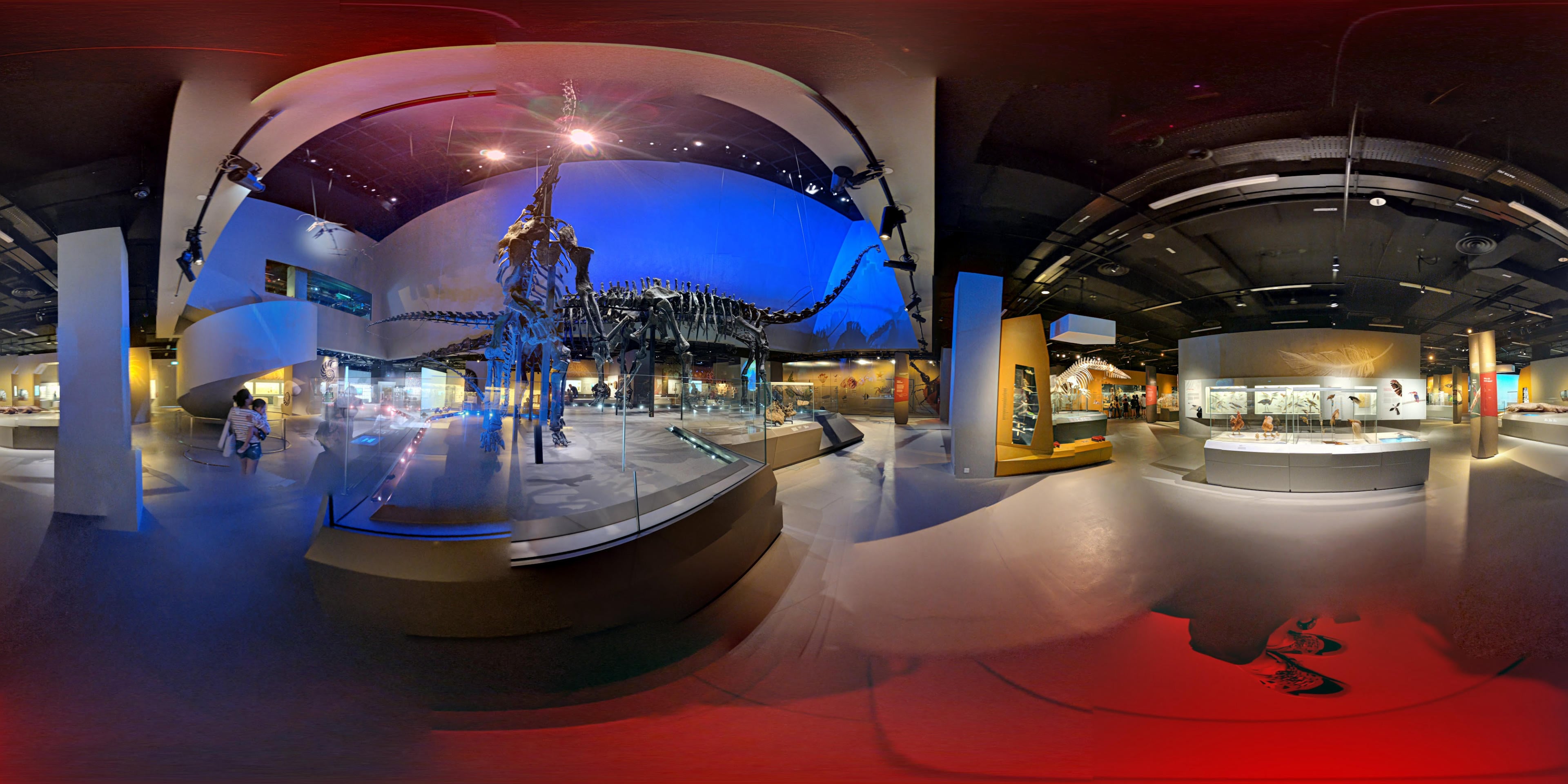Lee Kong Chian Natural History Museum, Singapore virtual tour preview