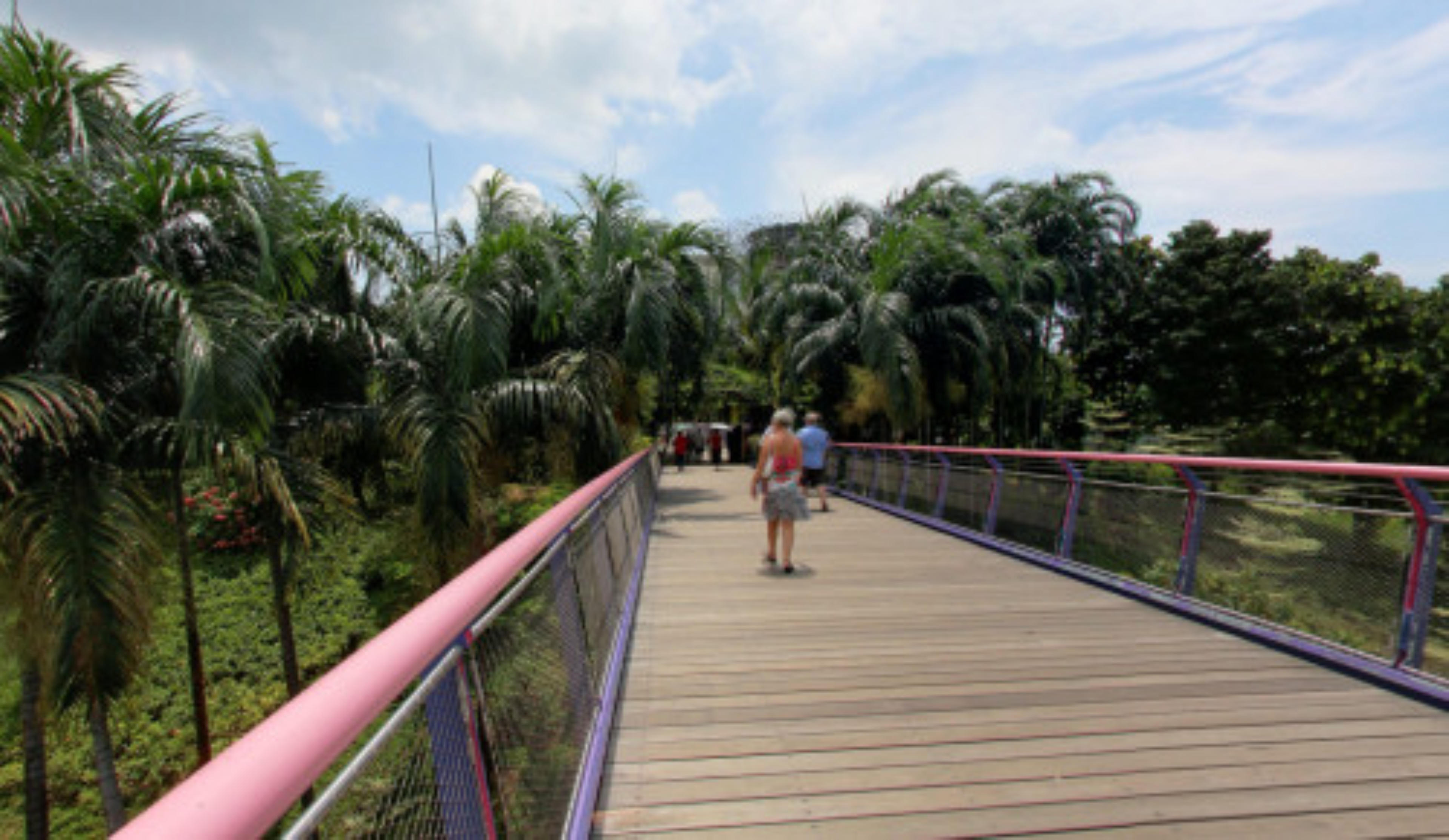 Gardens by the Bay, Singapore virtual tour preview