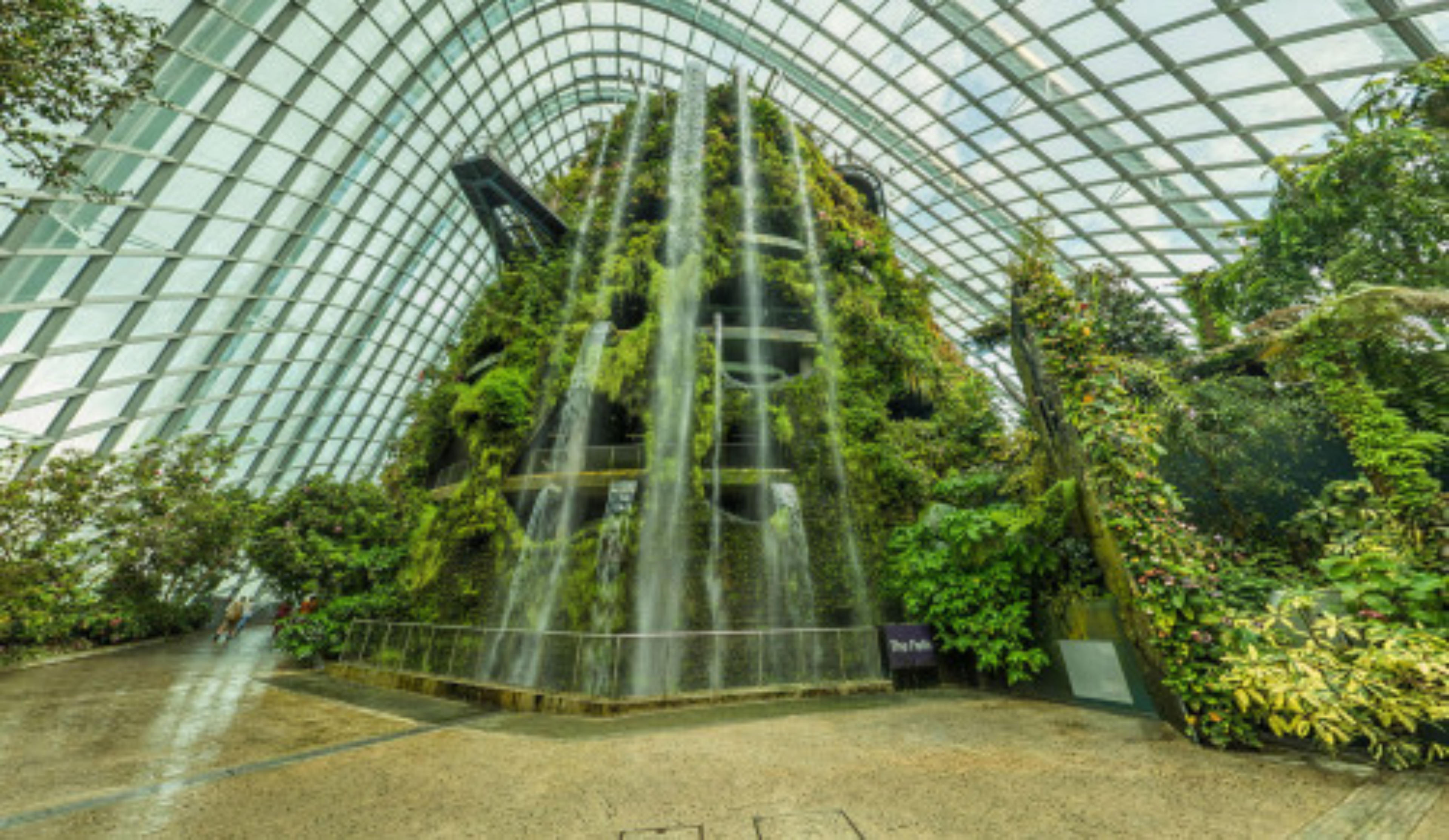 Cloud Forest, Gardens by the Bay, Singapore virtual tour preview