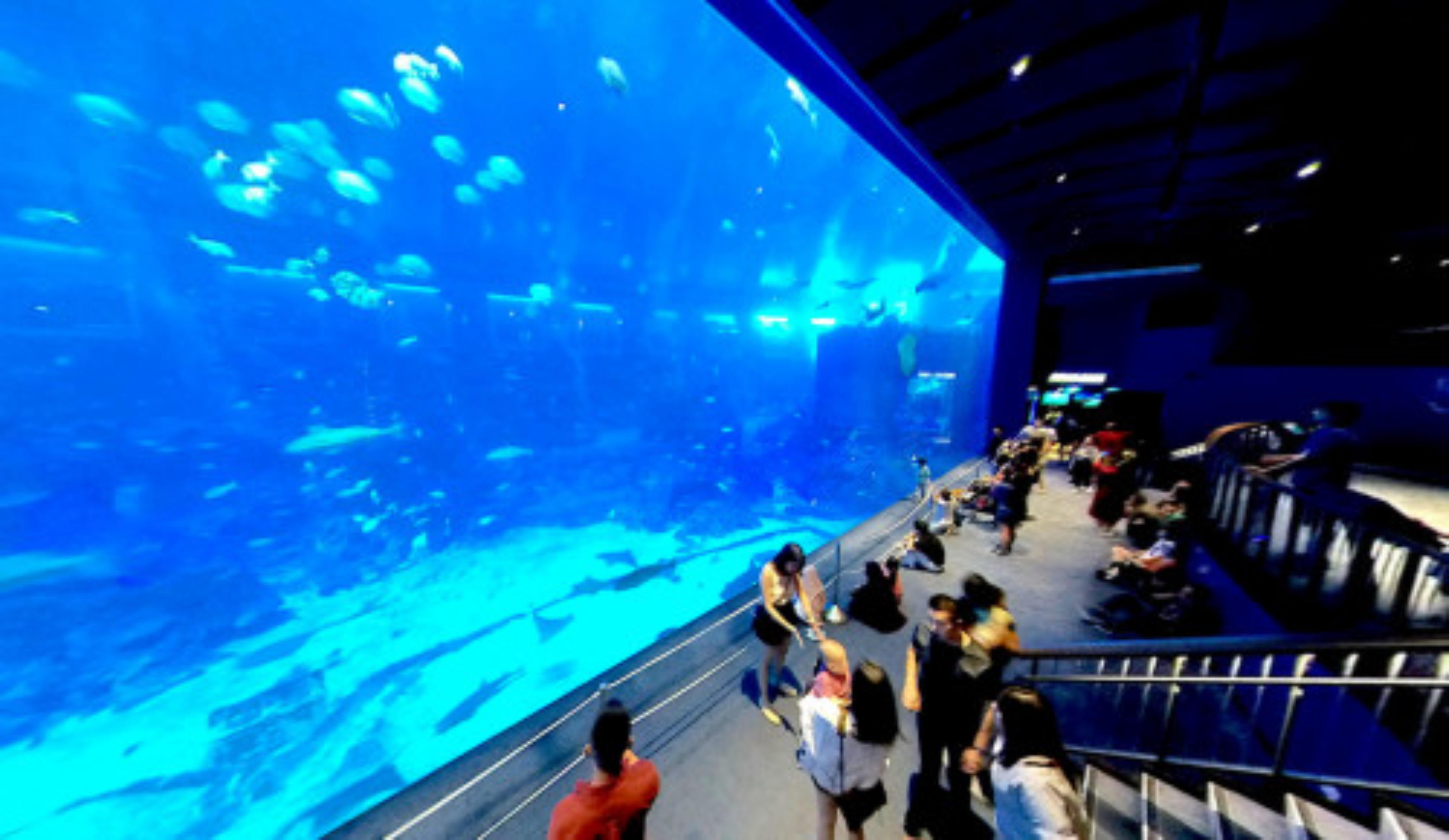 Marine Life Park, Sentosa Island, Singapore virtual tour preview