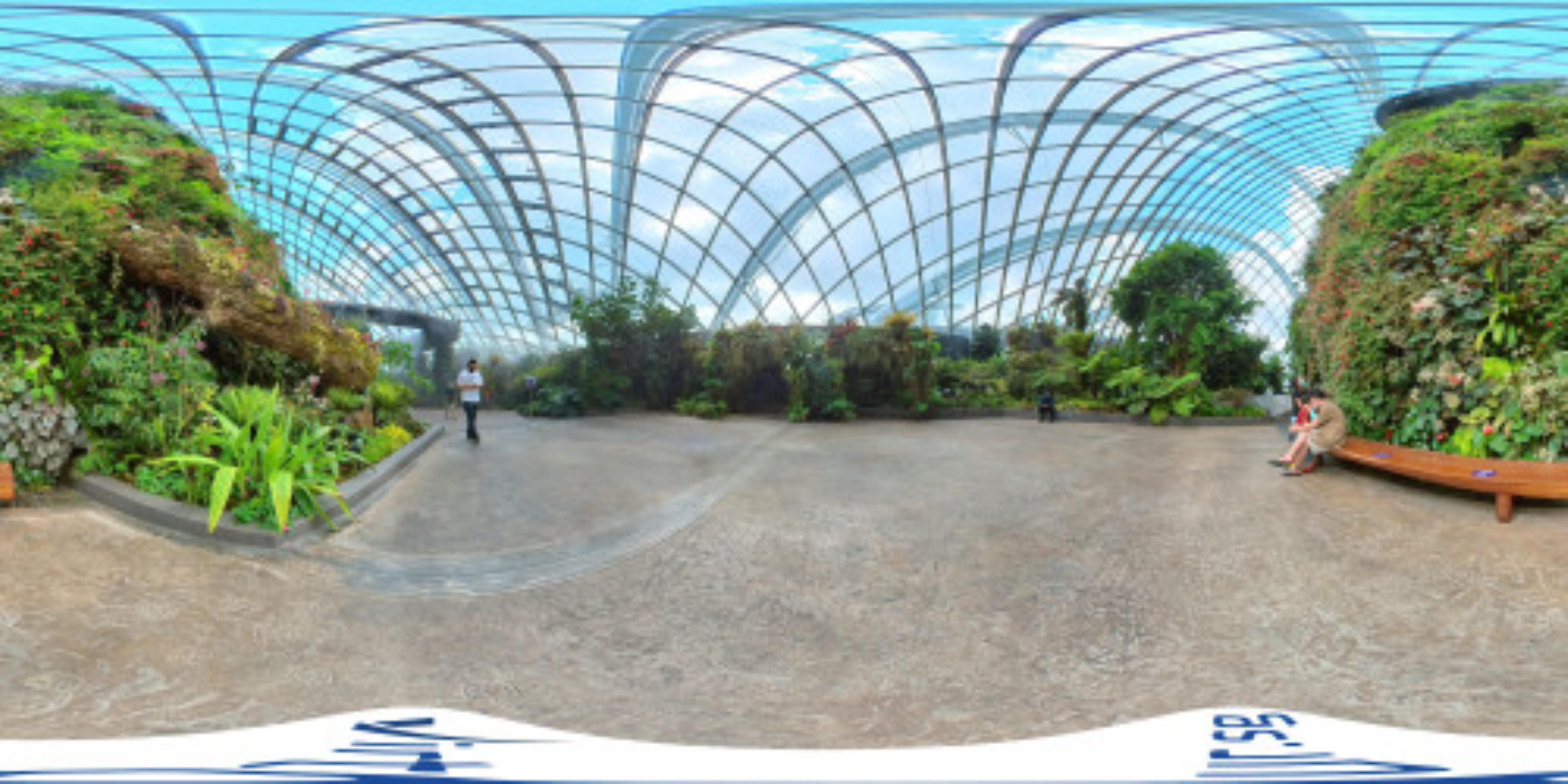 Cloud Forest virtual tour preview