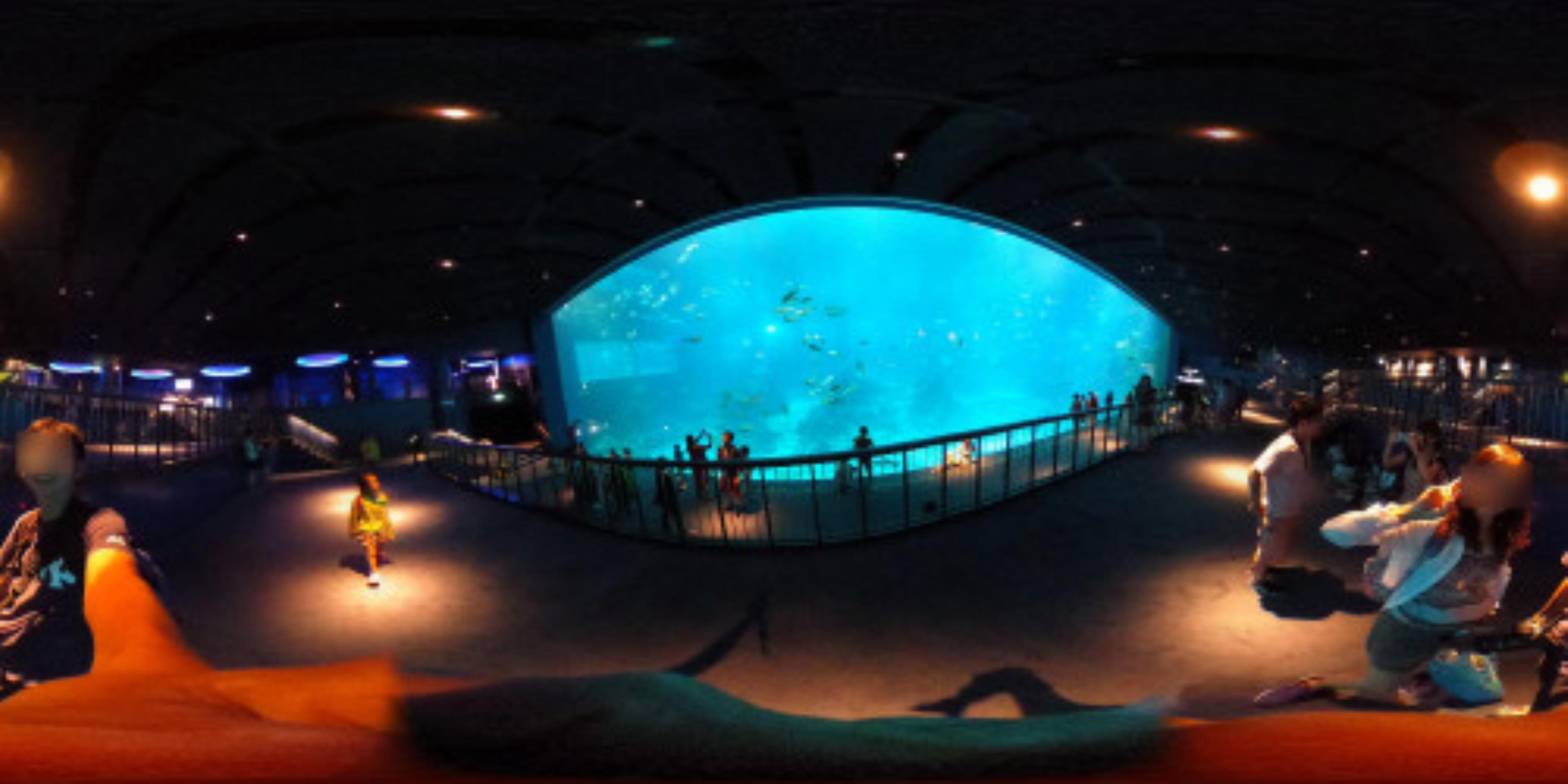 Singapore Oceanarium virtual tour preview