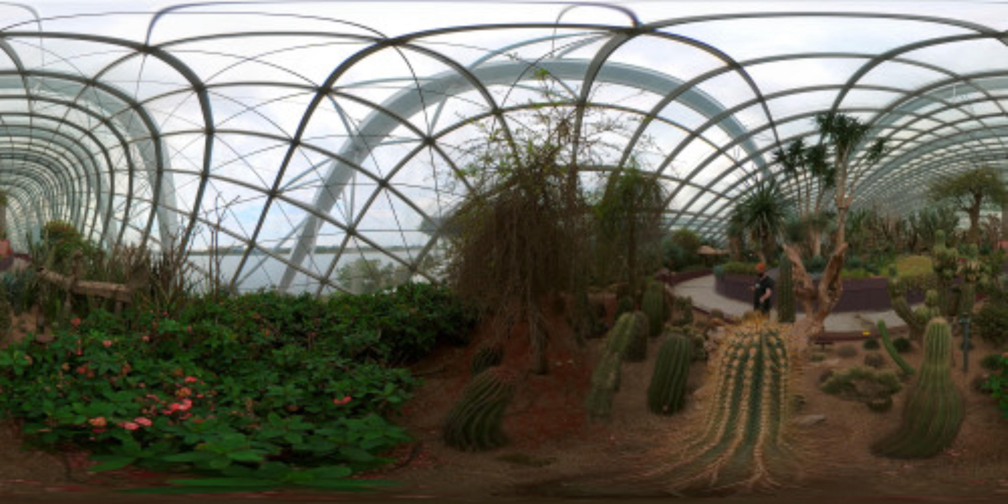 Flower Dome virtual tour preview