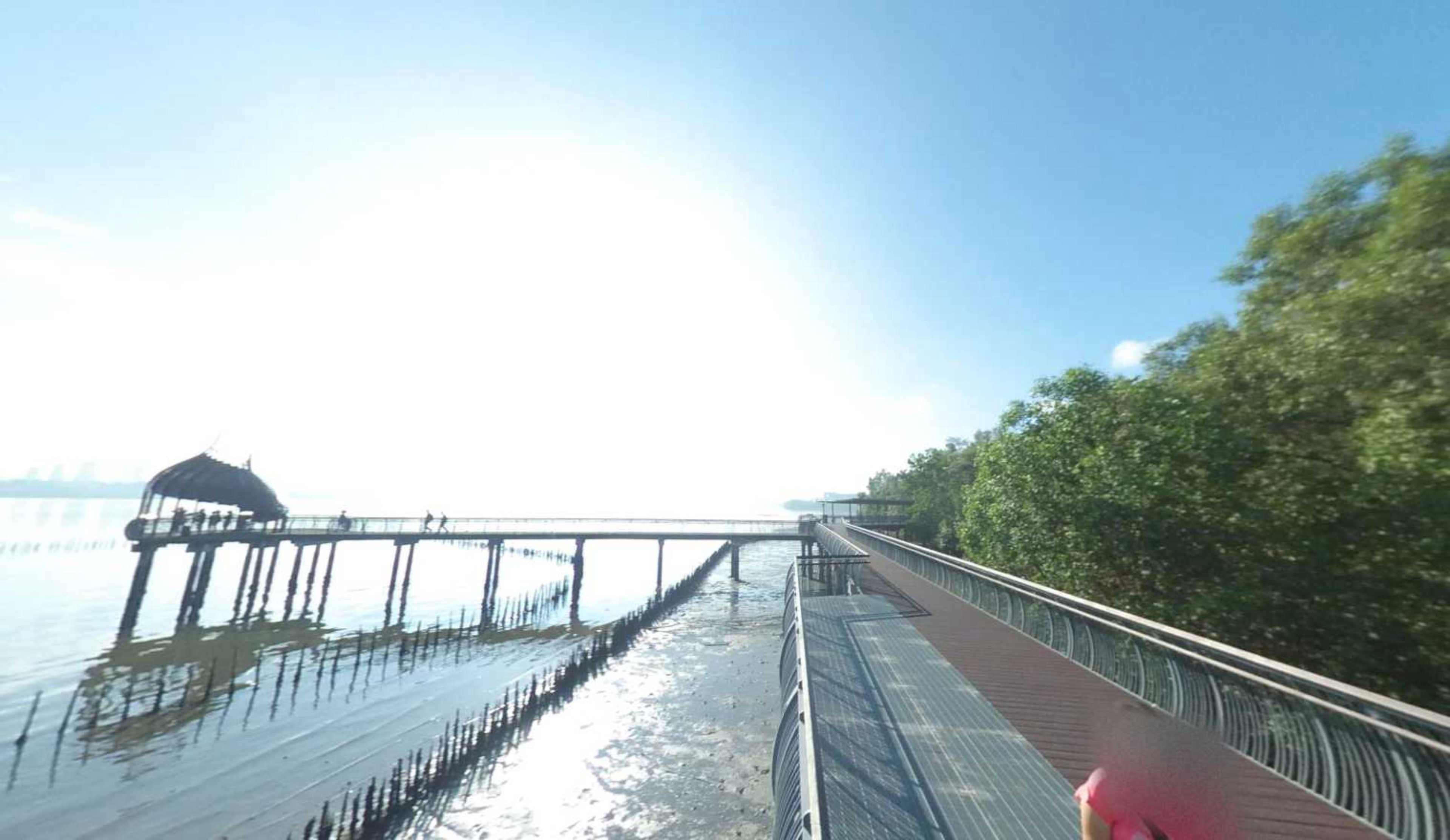 Sungei Buloh Wetland Reserve, Singapore virtual tour preview